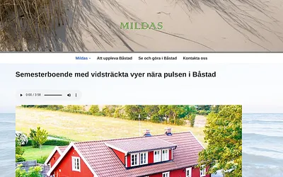 mildas.se snapshot