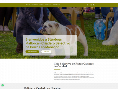 stardogsmallorca.com snapshot