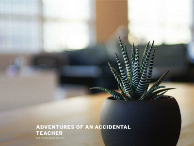 adventuresofanaccidentalteacher.com snapshot
