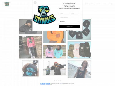 www.fatallycoolmusic.com snapshot