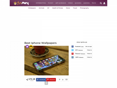 funmary.com snapshot