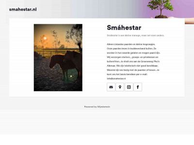 smahestar.nl snapshot