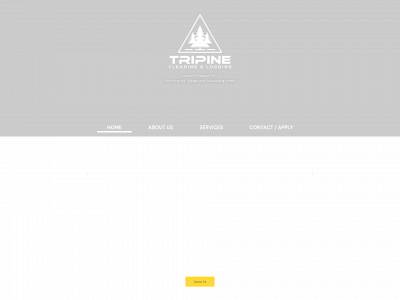 tripinenc.com snapshot