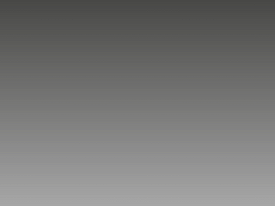 stener.com snapshot