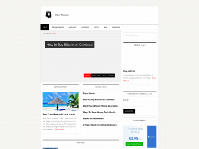 wisermonkey.com snapshot