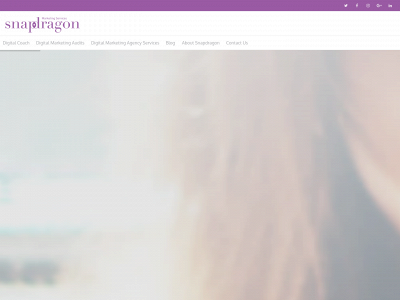 snapdragonmarketingservice.com snapshot