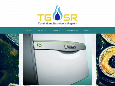 totalgasserviceandrepair.co.uk snapshot