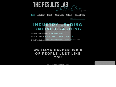 the-resultslab.com snapshot