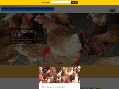 agrideckcongo.com snapshot