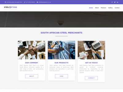 steeloptions.co.za snapshot