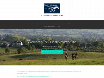 stephhollinsheadracing.com snapshot