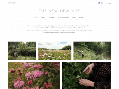 thenewnewage.com snapshot