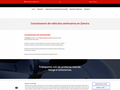 expoautozamora.com snapshot