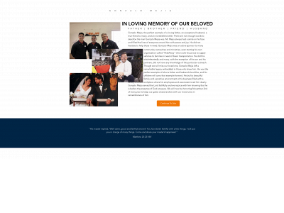 mejiamotorsfl.com snapshot