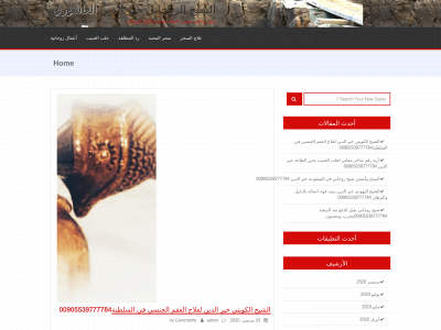 adany.ae.org snapshot