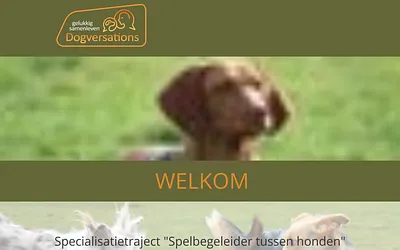 dogversations.be snapshot