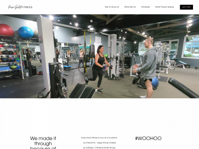 rosegoldfitness.com snapshot