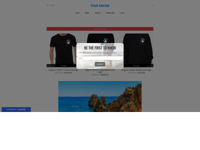 trashjourney.weebly.com snapshot