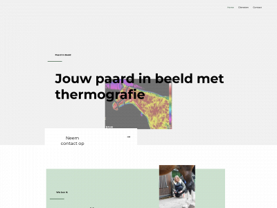 paardinbeeld.nl snapshot