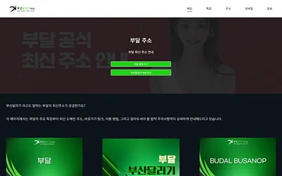 budalko.com snapshot