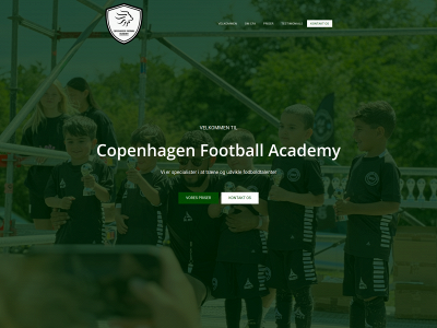 cfacademy.dk snapshot
