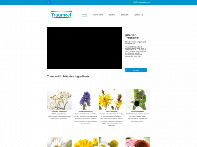 traumeel.co.uk snapshot