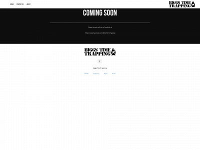 biggstimetrapping.com snapshot