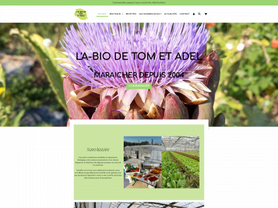 tometadel.fr snapshot
