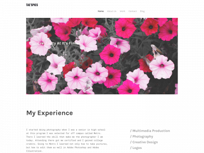 taespics.weebly.com snapshot