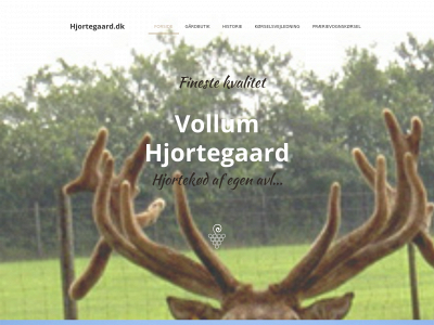 hjortegaard.dk snapshot