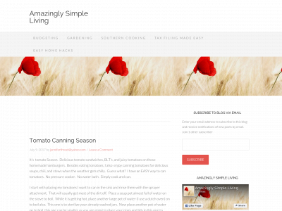 amazinglysimpleliving.com snapshot