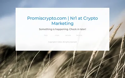 promiscrypto.com snapshot