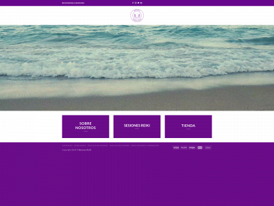 baransureikicom.com snapshot