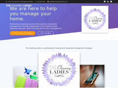 thecleaningladieshms.com snapshot