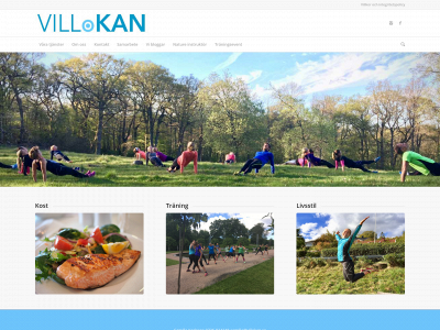 villokan.se snapshot