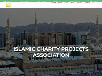 icpa.org.au snapshot
