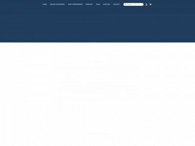 brandzlocalhands.be snapshot