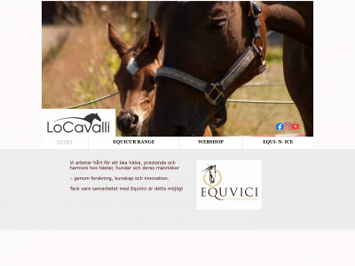 locavalli.se snapshot