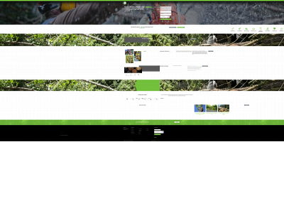 coronadotreeservice.com snapshot