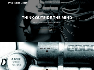 syncmindsmedia.com snapshot