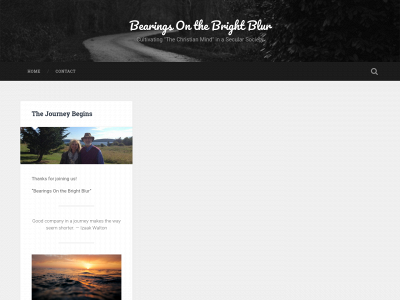 bearingsonthebrightblur.com snapshot