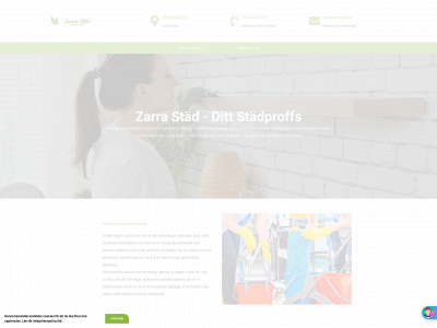 zarrastad.se snapshot