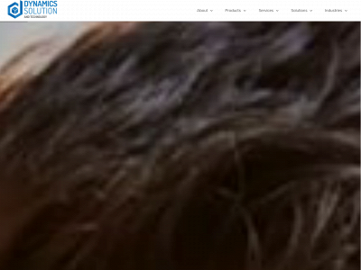 dynamicssolution.com snapshot