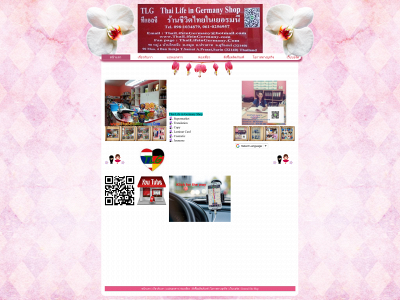 thailifeingermany.com snapshot