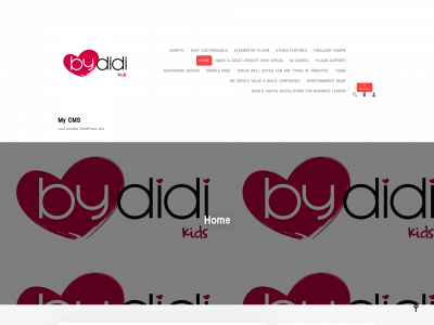 bydidikids.com snapshot