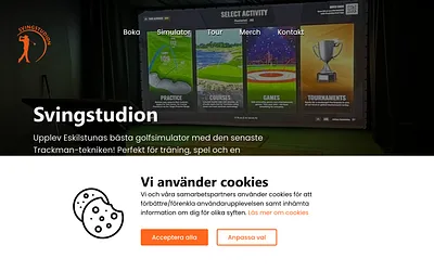 svingstudion.se snapshot