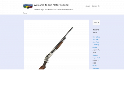 funmeterpegged.com snapshot