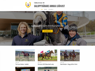 www.sjokvistracing.se snapshot