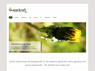 skaparkraft.org snapshot