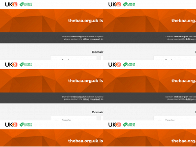 thebaa.org.uk snapshot